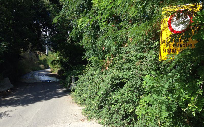 Bene per il concorso ippico, ma via Corrado Alvaro?